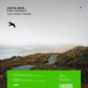 Digital Mess - Find Yourself [ALLEY246]