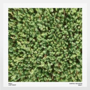 Nehli - Figures [ED071]