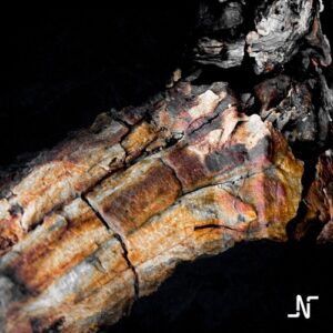 Noir - Distant [NM015]