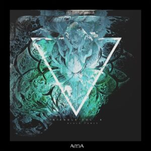 VA - Triangle, Vol. 9 [ALULA214]
