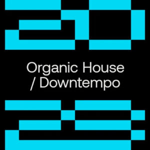 Beatport Hype Chart Toppers: Organic H / D