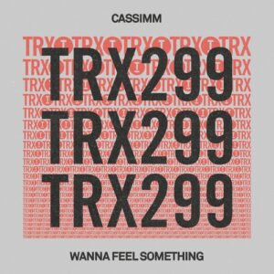 CASSIMM - Wanna Feel Something [TRX29901Z]
