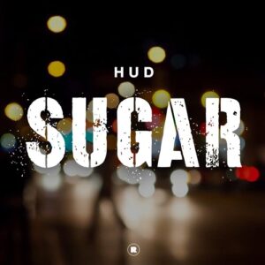 HUD - Sugar [REKIDS233]