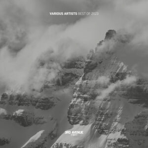 VA - 3rd Avenue Best of 2023 [3AVLP074]