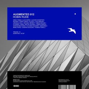 VA - Augmented 012 / Hobin Rude [ALLEYAUG012]