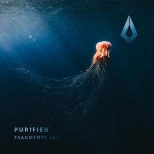 VA - Fragments XVII [PF0150BP]