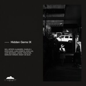 VA - Hidden Gems IX [PURR410]