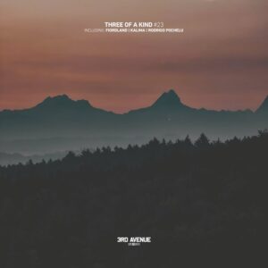 VA - Three of Kind #23 [3AV411]