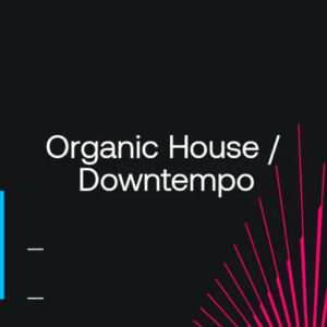 Beatport Dancefloor Essentials 2024: Organic H / D January 2024