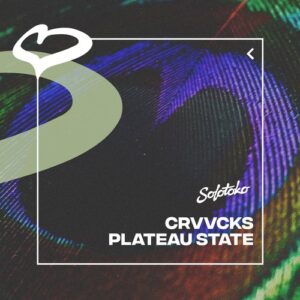 Crvvcks - Plateau State (Extended Mix) [197338155554]