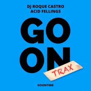 DJ Roque Castro - Acid Fellings [GOONT088]