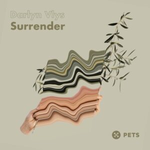 Darlyn Vlys - Surrender EP [PETS186]