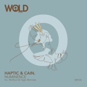 Haptic, CAIN. - Numinence [WR105]