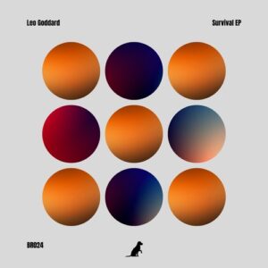 Leo Goddard - Survival [BR024]