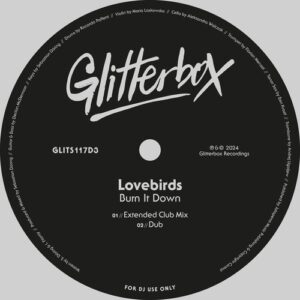 Lovebirds - Burn It Down [GLITS117D3]