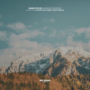 Mario Puccio - Harmony (Remixes) [3AV413]