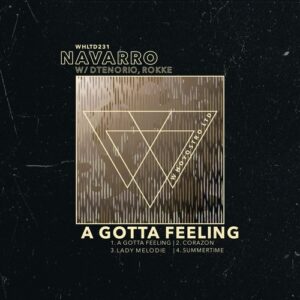 Navarro (BR), DTenorio, ROKKE - A Gotta Feeling [WHLTD231]