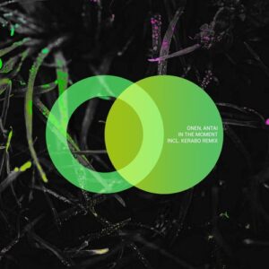 ONEN & Antai - In the Moment [AVE214]