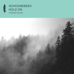 Schoonebeek - Hold On [POM201]