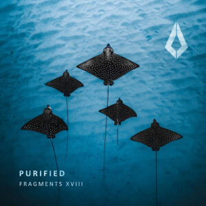 VA - Purified Fragments XVII [PF0145BP]