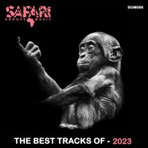 VA - THE BEST TRACKS OF 2023 [SGM089]