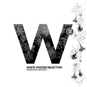 VA - White Winter Selection [DDW23]
