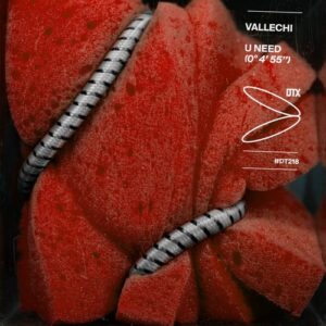 Vallechi - U Need [DT218]