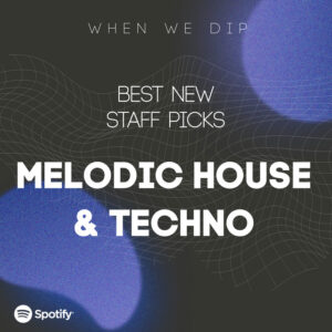 When We Dip Melodic House & Techno - Best New Tracks January 2024