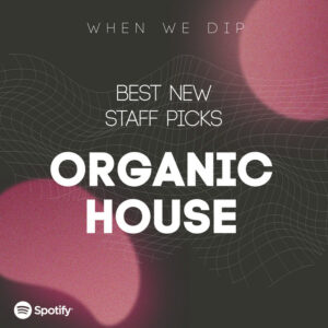 When We Dip Organic House - Best New Tracks January 2024