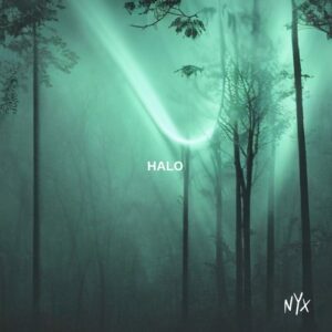 Eli & Fur, Richard Judge & Punctual - Halo [NYXM022A]