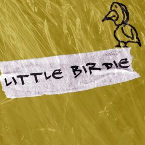 Galoop, Pulga (UY) - Little Birdie [SS139]