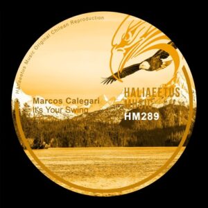 Marcos Calegari - It's Your Swing [HM0289]