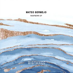 Mateo Bermejo - RASPBERRI EP [DM391]