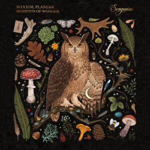 Maxxim, flanerr - Moments of Wonder [SG43]