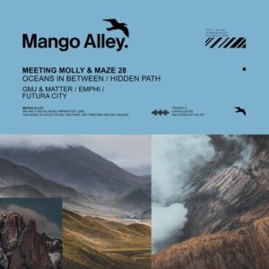 Meeting Molly & Maze 28 - Oceans in Between / Hidden Path [ALLEY255]