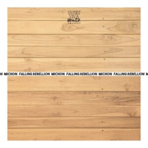 Michon - Falling Rebellion [NATBLACK455]