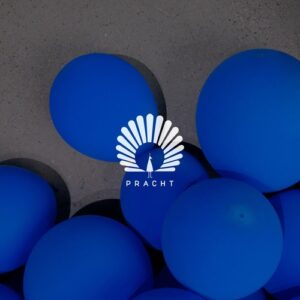 Oliver Schories - Got Soul ? [PRACHT28]