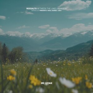 RossAlto - Between the Lines (Remixes) [3AV419]