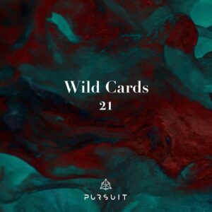 VA - Wild Cards 21 [PRST096]