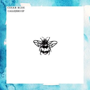 Cesar Blue - Callejero EP [NSD070]