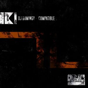 DJ Domingo - Compatible [CALUM177]