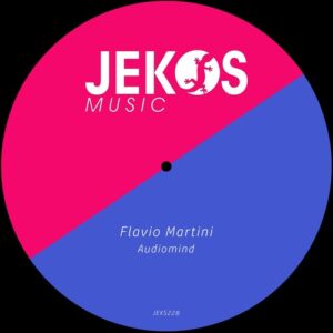 Flavio Martini - Audiomind [JEKS228]