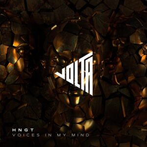 HNGT - Voices In My Mind [VOLTA025]