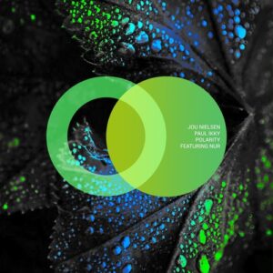Jou Nielsen, Paul Ikky - Polarity [AVE221]