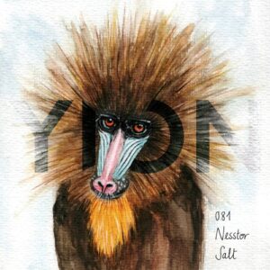 Nesstor - Salt [YION081]