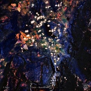 S. Salter - Grove - Rework [STMPD763]