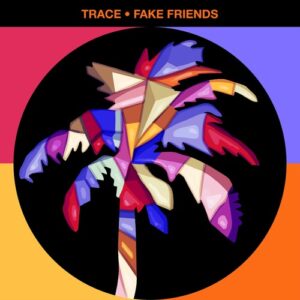Trace (UZ) - Fake Friends [HOTC229]