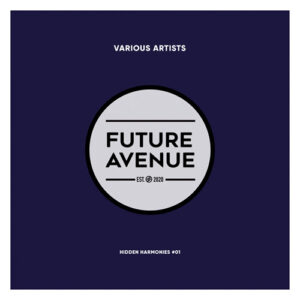 VA - Hidden Harmonies #01 [FALP041]