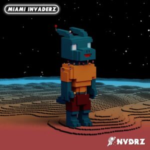 VA - MIAMI INVADERZ [NVDRZVA02]
