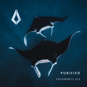 VA - Purified Fragments XIX [PF0123BP]